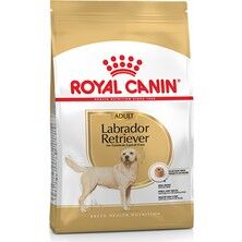 Royal Canin Bhn Labrador Irka Özel Yetişkin Köpek Maması 12 Kg