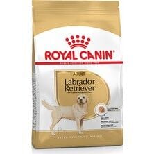 Royal Canin Bhn Labrador Irka Özel Yetişkin Köpek Maması 12 Kg