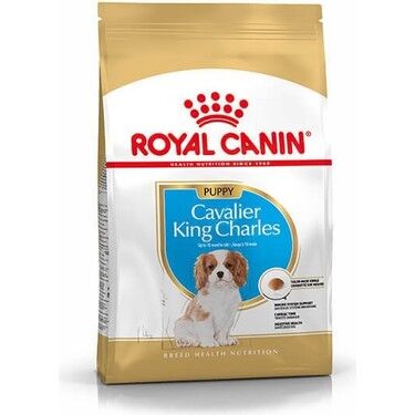 Royal Canin Cavalier King Charles Junior Yavru köpek Maması 1,5 Kg