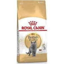 Royal Canin British Shorthair Adult Yetişkin Kedi Maması 10 Kg