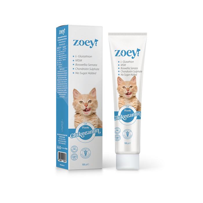 Zoey Glukozamin Paste