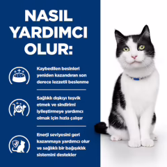 Hill's i/d Kedi Maması 3kg