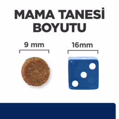 Hill's z/d Kedi Maması 1,5 kg