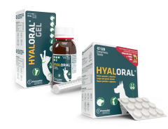 HYALORAL 120 Tablet Köpekler için